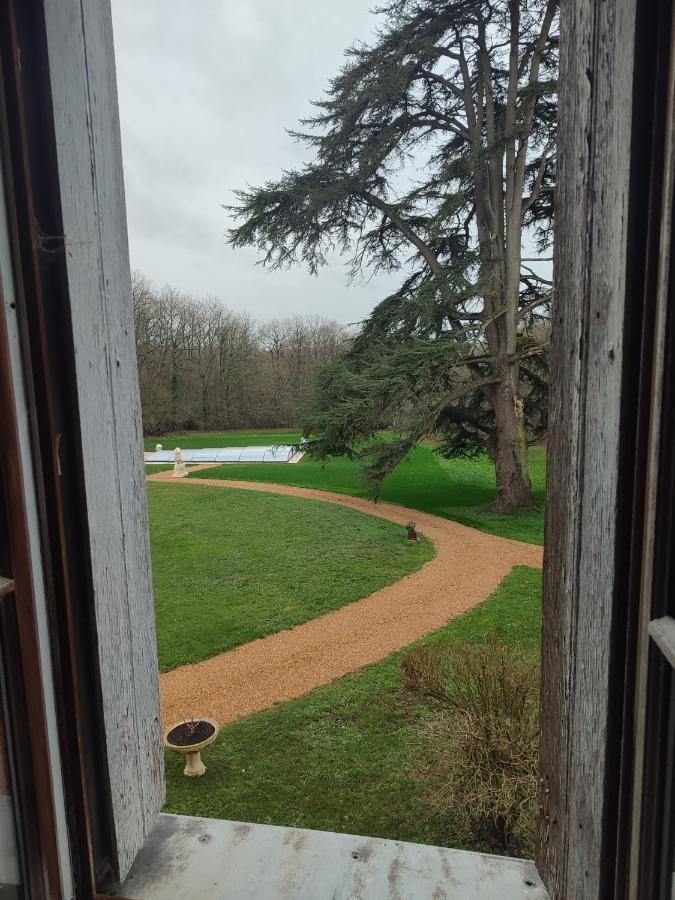 Chateau Le Haut Villaumay Auzouer-en-Touraine エクステリア 写真